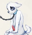  anthro blue_fur canine chain chain_leash collar dog erection eyelashes fawnsdraws fur kneeling leash looking_up male mammal nude penis precum simple_background solo tapering_penis white_background white_fur 