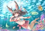  air_bubble animal_ears anklet barefoot blush breath bubble bunny_ears coral fish freediving highres holding_breath jewelry long_hair mochizuki_usagi ocean original sarong swimming swimsuit underwater 