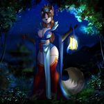  5_fingers anthro arctic_fox black_fur black_nose blue_eyes breasts brown_fur canine clothed clothing detailed detailed_background digitigrade female fox fur lantern looking_at_viewer mammal night outside sky solo sorafoxyteils standing star starry_sky white_fur wide_hips 