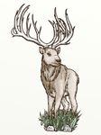  antlers cervine digital_media_(artwork) elk feral fur horn lavilovi male mammal 