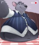  anthro belly big_belly camera_view clothed clothing fur grey_fur hand_on_stomach hyenahyena inside male mammal midriff navel overweight overweight_male rat recording rodent smile solo straining_buttons whiskers 