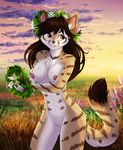  2016 amber_eyes anthro areola black_lips black_nose breasts brown_hair cat chest_tuft day feline female fur hair ketty-leopardess long_hair mammal outside sky slim smile solo standing sun teeth ts-cat tuft white_fur wide_hips 