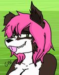  animal_humanoid anthro black_nose canine cute digital_media_(artwork) dog dog_humanoid female fur green_eyes hair humanoid invalid_color invalid_tag looking_at_viewer mammal out pink_hair portrait sheep_dog sheepdog shetland_sheepdog simple_background smile solo tongue tongue_out trash 