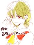  green_hair kazami_yuuka red_eyes short_hair smile solo touhou translation_request upper_body wavy_hair yonu_(yonurime) 