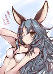  animal_ears bare_shoulders bikini bikini_top blue_hair blush breasts cleavage collarbone erune expressionless ferry_(granblue_fantasy) granblue_fantasy hand_on_own_head long_hair looking_at_viewer medium_breasts one_eye_closed sketch sky solo swimsuit translated wavy_hair wet white_bikini_top yellow_eyes yumesato_makura 