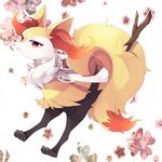  2013 :&lt; black_fur braixen canine chest_tuft female fennec feral fox fur mammal nintendo paws pointy_ears pointy_nose pok&eacute;mon red_eyes red_fur solo tuft twig video_games white_fur wood yellow_fur 切り身まぐろ 