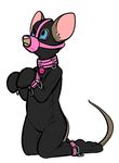  bdsm bondage bound clothing collar male mammal mouse muzzle_(disambiguation) rodent solo tight_clothing zentai 