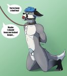  ball_gag chastity chastity_cage collar english_text fur gag grey_fur leash milodesty pet simple_background text white_fur 