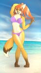  beach bikini canid canine clothing female fox fur kiit0s mammal ponytail sea seaside swimsuit water yellow_fur 