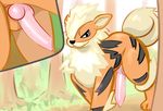  animal_genitalia animal_penis arcanine balls canine_penis close-up feral knot looking_at_viewer male nintendo outside pcred566 penis pok&eacute;mon smile solo standing video_games 