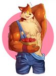  apple canine clothing food fruit male mammal muscular solo soonico wolf wuffle 