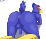  avian babyboilogey balls bird butt falco_lombardi male nintendo penis presenting presenting_hindquarters solo star_fox video_games 