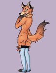  2016 ambiguous_gender anthro black_nose blush butt canine clothing dipstick_tail ear_piercing embarrassed fox hand_on_chin lawyerdog legwear looking_at_viewer looking_back mammal mostly_nude multicolored_tail piercing rear_view ribbons simple_background standing thigh_highs 