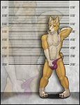  amixeduppuppy animal_genitalia anthro bulge canine clothing flashing fully_sheathed looking_at_viewer male mammal mostly_nude sheath smile solo standing tongue tongue_out underwear 