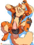  2016 anthro arcanine armpit_hair armpits balls canine claws erection fur hybrid_penis knot male mammal muscular negger nintendo nipples nude open_mouth penis pok&eacute;mon simple_background solo tongue tongue_out video_games 