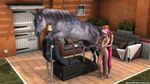  alex comic equine extremexworld horse jessoca mammal 