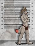  amixeduppuppy anthro bulge canine clothing crossed_arms looking_at_viewer male mammal mostly_nude navel solo standing underwear 