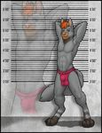  amixeduppuppy anthro bulge canine clothing hands_behind_head looking_at_viewer male mammal mostly_nude navel smile solo standing underwear 