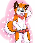  4_fingers anthro blue_eyes briefs brown_eyes bulge canine clothing dog eyewear fur gaokun glasses hand_behind_head heterochromia male mammal neckerchief orange_fur solo standing tagme tongue tongue_out underwear white_fur 