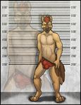  amixeduppuppy anthro bulge canine clothing looking_at_viewer male mammal penis smile solo standing teasing underwear 