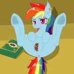  absurd_res annonymouse anus baked_goods cookie ear_piercing equine food friendship_is_magic hair hi_res horse mammal multicolored_hair my_little_pony pegasus penetration piercing pony pussy rainbow_dash_(mlp) red_eyes vaginal vaginal_penetration wings 