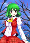  ascot blush commentary_request cowboy_shot green_hair juliet_sleeves kazami_yuuka kochouka long_sleeves looking_at_viewer open_clothes open_vest parted_lips plaid plaid_skirt plaid_vest puffy_sleeves red_eyes short_hair skirt smile solo touhou vest 