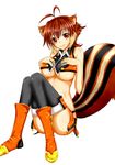  absurdres animal_ears bare_shoulders blazblue blush boots breast_hold breasts brown_hair chukachuka cleavage closed_mouth crop_top highres large_breasts looking_at_viewer makoto_nanaya midriff multicolored_hair orange_footwear orange_skirt revealing_clothes short_hair side_slit skirt smile solo squirrel_ears squirrel_tail tail thighhighs two-tone_hair underboob white_background 