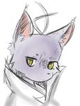  cat clothing dress_shirt feline male mammal morenatsu shin_(morenatsu) shirt simple_background sketch white_background 