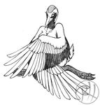  avian beak bird breasts cleavage clothed clothing covering crane feathers nude predaguy wings yuriko 