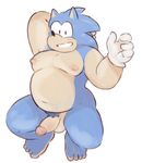  glitter_trap_boy hedgehog male male/male mammal moobs navel nipples overweight penis slightly_chubby solo sonic_(series) sonic_the_hedgehog tagme 
