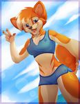  5_fingers anthro blue_eyes breasts canine chest_tuft clothing day female fingers fox fur hair inner_ear_fluff looking_at_viewer magenta7 mammal midriff navel open_mouth orange_fur orange_hair outside sky smile solo standing swimsuit teeth tongue tuft water wide_hips 