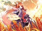  1girl animal_ears brown_hair commentary_request holo long_hair red_eyes shino_(eefy) solo spice_and_wolf tail wheat wolf_ears wolf_girl wolf_tail 