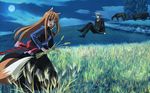  craft_lawrence highres holo horo spice_and_wolf 
