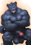  abs animal_genitalia anthro balls belly biceps big_biceps big_muscles big_penis black_fur dust_yang erection feline front_view fur hi_res huge_pens humanoid_penis kneeling looking_at_viewer male mammal manly mature_male muscular muscular_male nude open_mouth orange_eyes panther partially_retracted_foreskin pecs penis pose pubes simple_background solo standing teeth thick_penis tongue uncut vein veiny_penis 