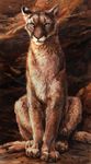  2016 ambiguous_gender black_eyes brown_body brown_fur brown_sclera claws cougar feline feral front_view fur kenket mammal outside painting_(artwork) paws rock sitting solo traditional_media_(artwork) white_fur 