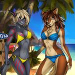  2016 anthro beach blue_eyes bra breasts canine clothing collaboration duo elvofirida female fish hi_res macmegagerc mammal marine markings sea seaside shark sign smile thong tree underwear water wolf 