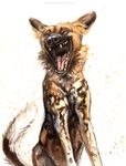 2016 african_wild_dog ambiguous_gender black_fur brown_body brown_fur brown_spots canine eyes_closed fangs feral front_view fur kenket mammal open_mouth painting_(artwork) simple_background smile solo teeth tongue traditional_media_(artwork) white_background white_fur white_spots 