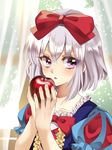  apple blush bow bowtie collarbone commentary_request cosplay dress food frilled_dress frills fruit hair_bow holding holding_food holding_fruit honebami_toushirou kanon_(ikamiso) looking_at_viewer male_focus otoko_no_ko parted_lips puffy_short_sleeves puffy_sleeves purple_eyes red_apple red_bow red_neckwear short_hair short_sleeves silver_hair snow_white_and_the_seven_dwarfs solo sunlight touken_ranbu upper_body 