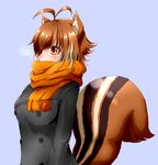  animal_ears antenna_hair black_coat black_jacket blazblue blush brown_hair casual chukachuka highres jacket makoto_nanaya multicolored_hair orange_eyes orange_scarf scarf scarf_over_mouth short_hair simple_background solo squirrel_ears squirrel_tail tail two-tone_hair 