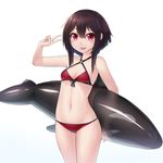  bad_id bad_pixiv_id bikini black_hair criss-cross_halter front-tie_top halter_top halterneck highres inflatable_dolphin inflatable_toy kono_subarashii_sekai_ni_shukufuku_wo! megumin npt_(akzkfhsk0503) red_bikini red_eyes short_hair solo standing swimsuit v 