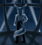  2016 adler anthro cat clothed clothing digital_media_(artwork) feline from_back invalid_color male mammal night solo standing wunderknodel 