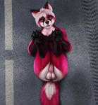  2016 4_toes anthro balls bird&#039;s-eye_view black_fur black_nose black_pawpads brown_eyes brown_fur butt canine claws digital_media_(artwork) digitigrade fox fur hair hi_res high-angle_view humanoid_penis legs_up lying male mammal multicolored_fur nude nue on_back outside paintchaser pawpads paws penis red_fur road short_hair solo toe_claws toes white_fur white_hair 