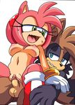 2016 amy_rose anthro areola balls big_breasts breasts coolblue duo erect_nipples erection fan_character female hedgehog male mammal navel nipples nude penetration penis pussy raccoon sex sonic_(series) vaginal vaginal_penetration 