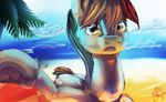 2015 absurd_res alumx beach blue_fur cutie_mark equine female feral friendship_is_magic fur hair hi_res horse looking_at_viewer mammal multicolored_hair multicolored_tail my_little_pony open_mouth outside pony rainbow_dash_(mlp) rainbow_hair rainbow_tail sand sea seaside solo tree water 