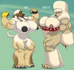  abs afghan breasts canine cigarette clothing dog female flexing gideon hair invalid_tag mammal muscular nipples poodle simple_background 