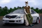  2016 anthro arctic_fox black_nose blue_eyes canine clothed clothing day detailed_background etskuni eyewear fox fur glasses hands_in_pockets honda honda_accord leaning male mammal outside solo standing white_fur wrist_watch 