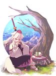  animal_ears bare_shoulders detached_sleeves fang food hat highres inubashiri_momiji ko_kita leaf maple_leaf open_mouth pom_pom_(clothes) red_eyes shield short_hair silver_hair sitting solo sword tail tokin_hat touhou weapon white_hair wide_sleeves wolf_ears wolf_tail 