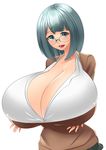  bluespice breasts gigantic_breasts glasses gray_eyes gray_hair 