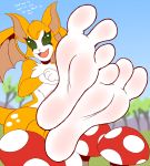  3_toes anthro barefoot chest_tuft chiropteran dialogue dust:_an_elysian_tail english_text female fidget foot_focus green_eyes hi_res looking_at_viewer mammal mushroom nimbat open_mouth soles solo text toes tuft video_games wings zp92 