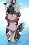  anthro bikini canine clothing dreadlocks female hands_behind_back kittentits looking_at_viewer mammal navel outside smile solo standing swimsuit 
